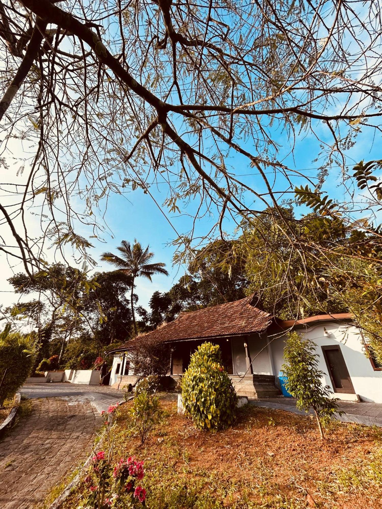 Silent House Vila Kudayattur Exterior foto